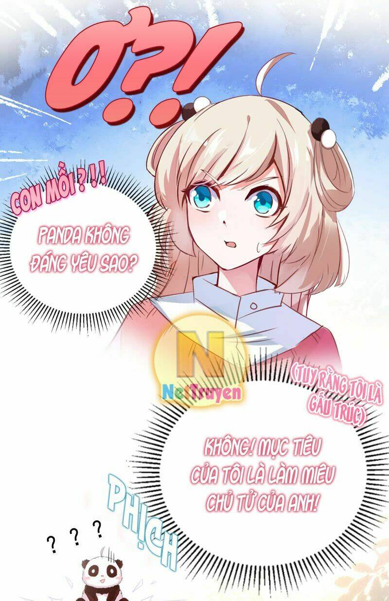 thiên thần gấu trúc muốn được ôm chapter 6 5