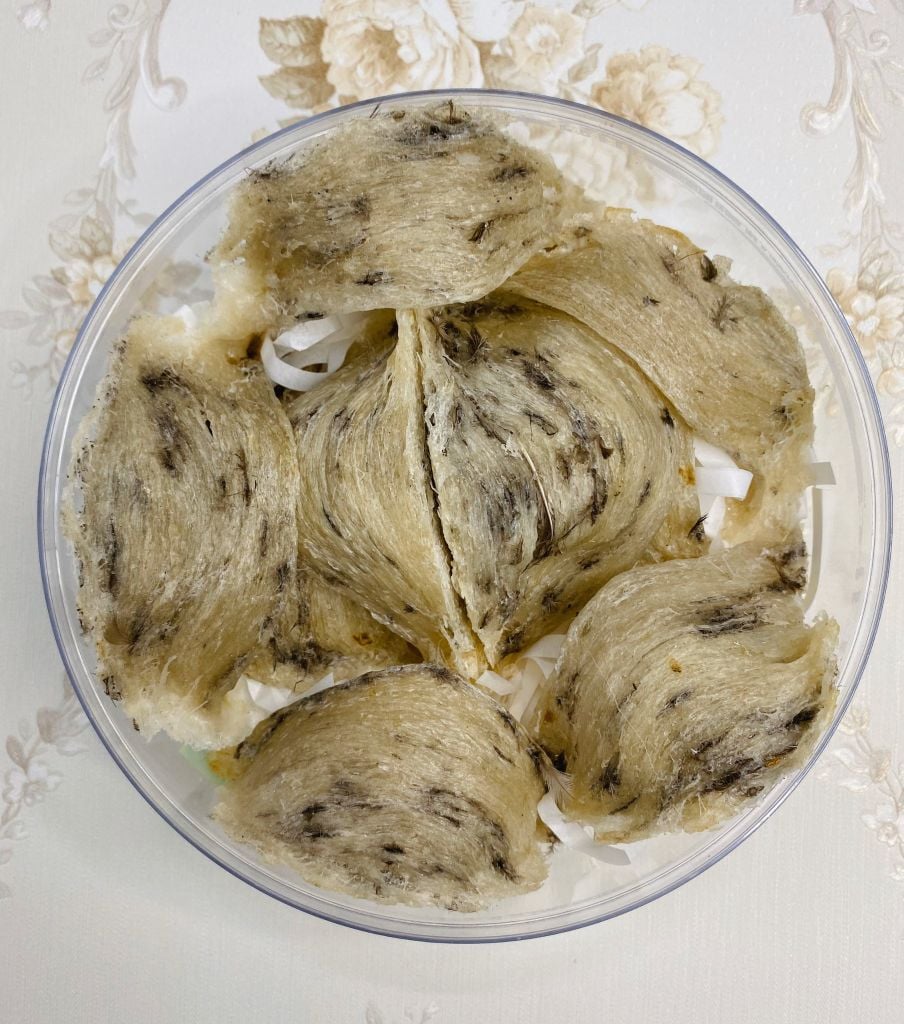 Tổ Yến Thô Tổ Góc  [Hộp 100g] - Trang Birdnest - Tăng cường sức đề kháng - Bổ phổi - Hỗ trợ điều trị ung thư - Điều hòa huyết áp - Cải thiện giấc ngủ - Bổ khí dưỡng nhan - Tăng cường sinh lực nam nữ