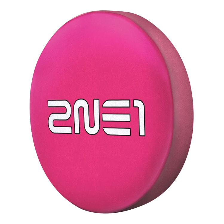 Gối 2NE1 - GOKL037
