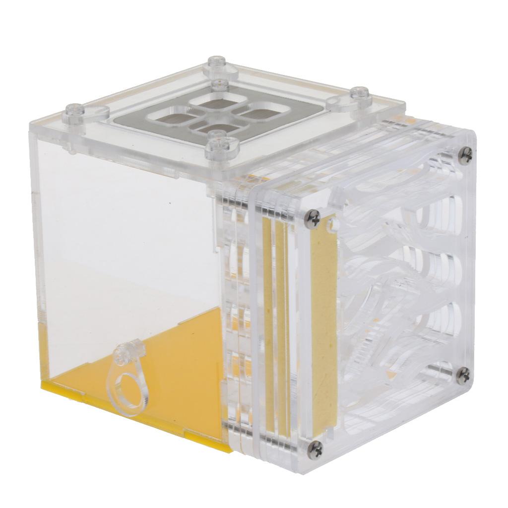 Kiến Nhà Ở Tổ Loài Côn Trùng Lồng Trang Trại Cho Ăn Độ Ẩm Bằng Nhựa Acrylic Màn Hình Hộp Vuông-Giáo Dục formicar