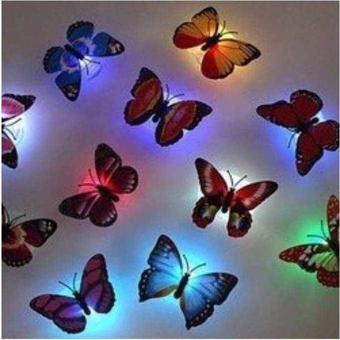 Đèn led, đèn ngủ dán tường con bướm phát sáng cực đẹp  UMS3459