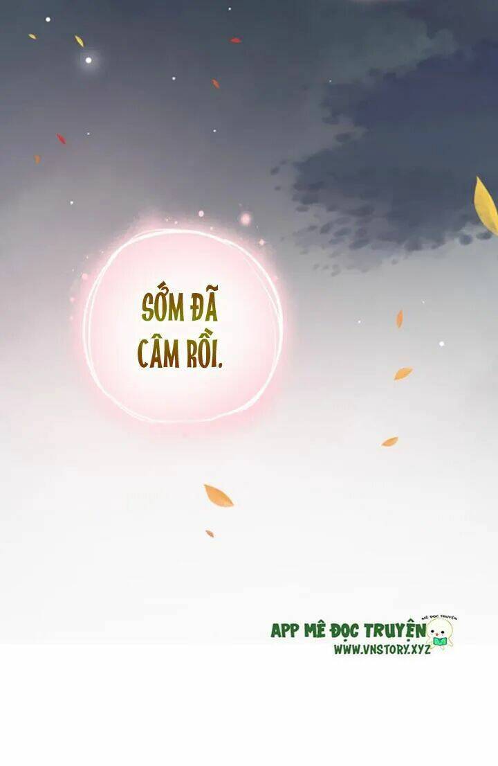 trạch thượng tịch mịch huỳnh hỏa chapter 35 59