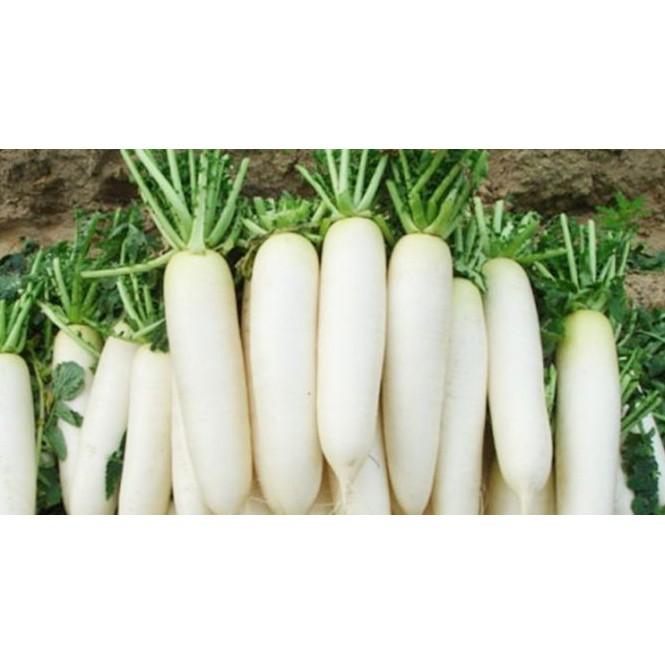 Hạt Giống Củ Cải Trắng
