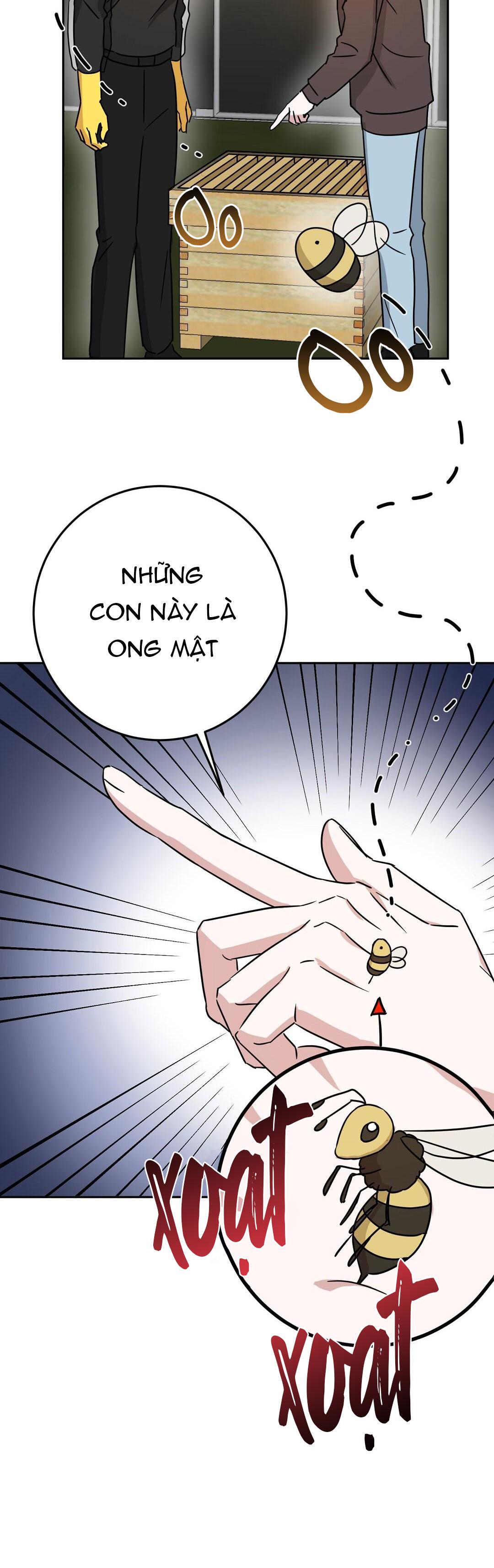 nhà tôi thành phim trường mất rồi chapter 3 5