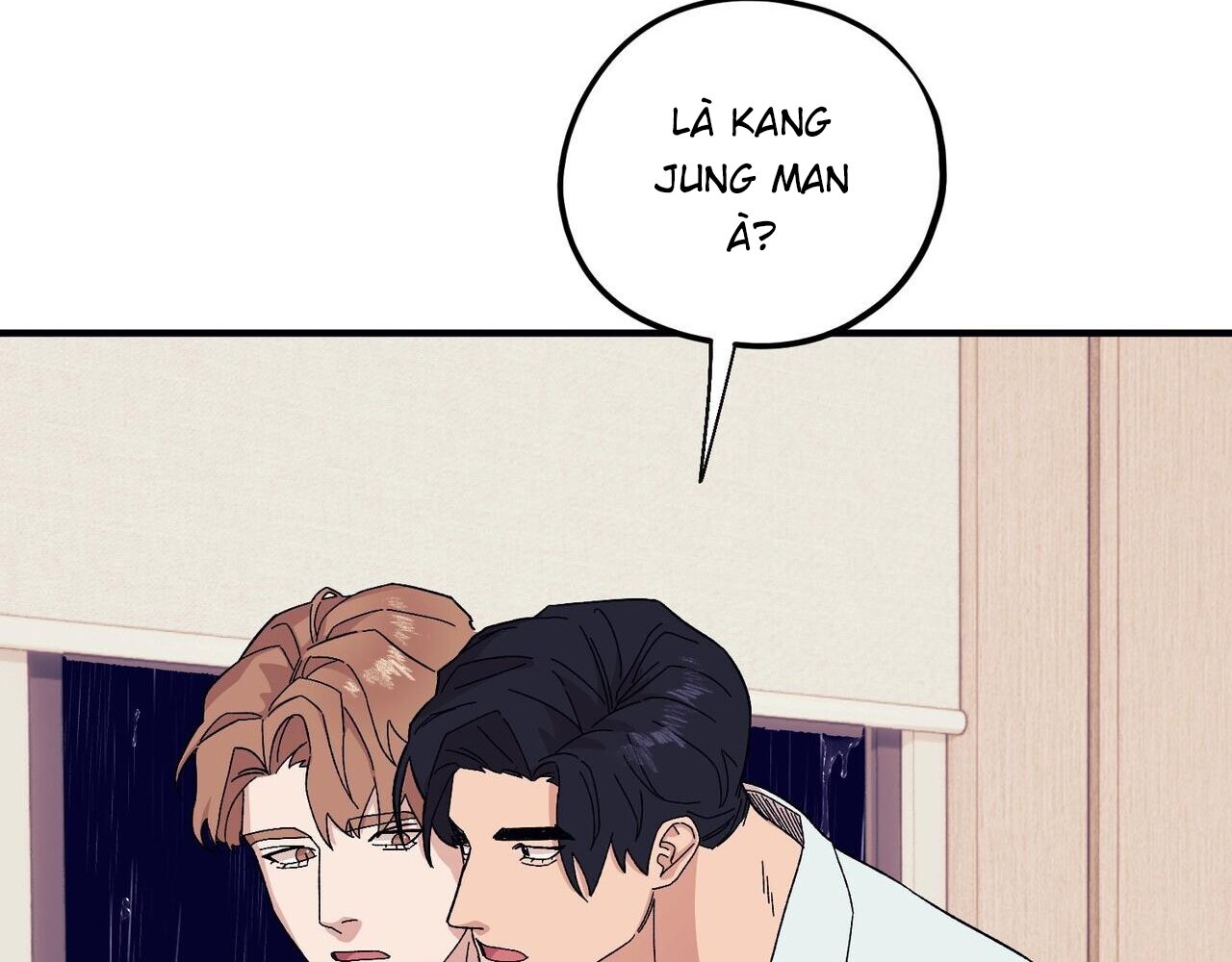 chàng dâu nhà họ kang chapter 47 156