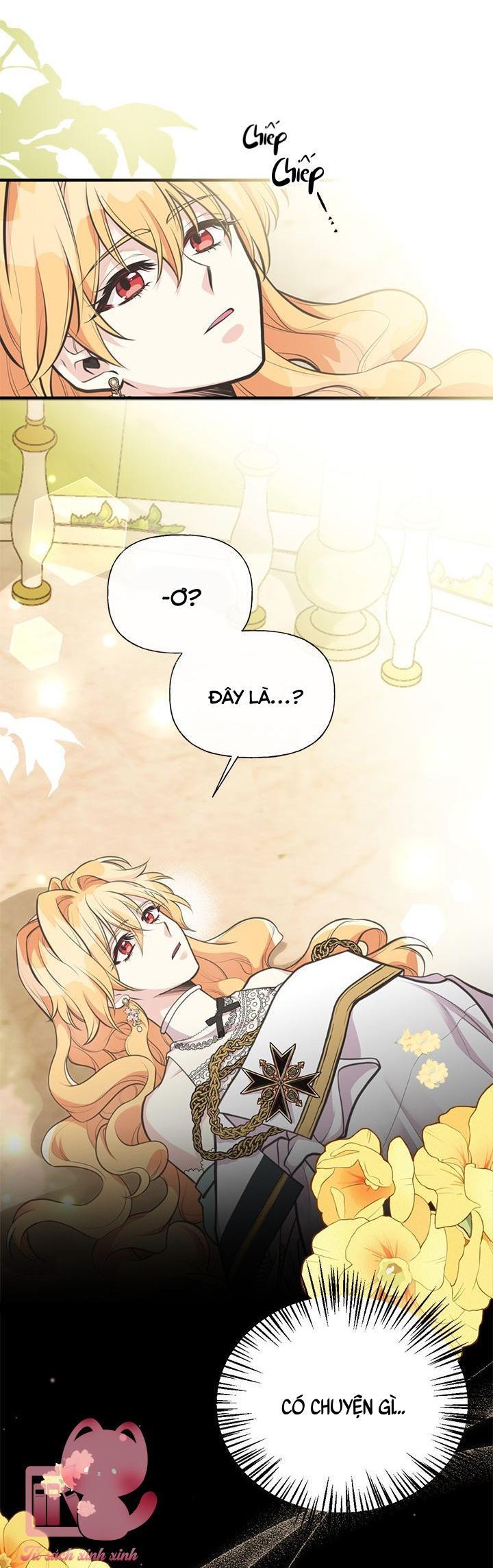 chị tôi nhặt về nam chính của tiểu thuyết chapter 70 54