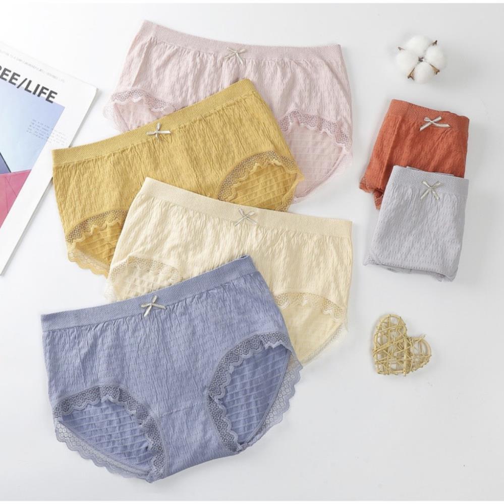Quần Chíp, Quần Lót Cotton Sợi Tre Kháng Khuẩn Cao Cấp
