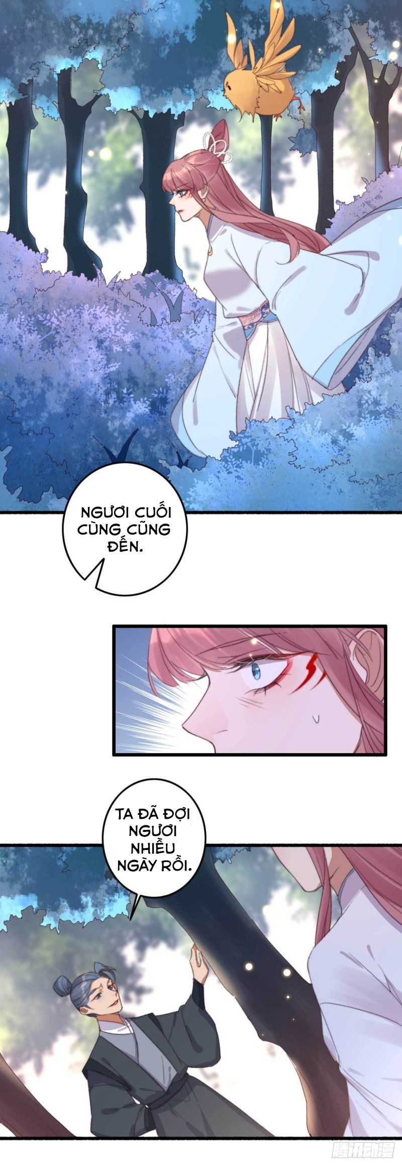 đế tôn cuồng sủng: thần y đặc công phế tài phi chapter 14 10