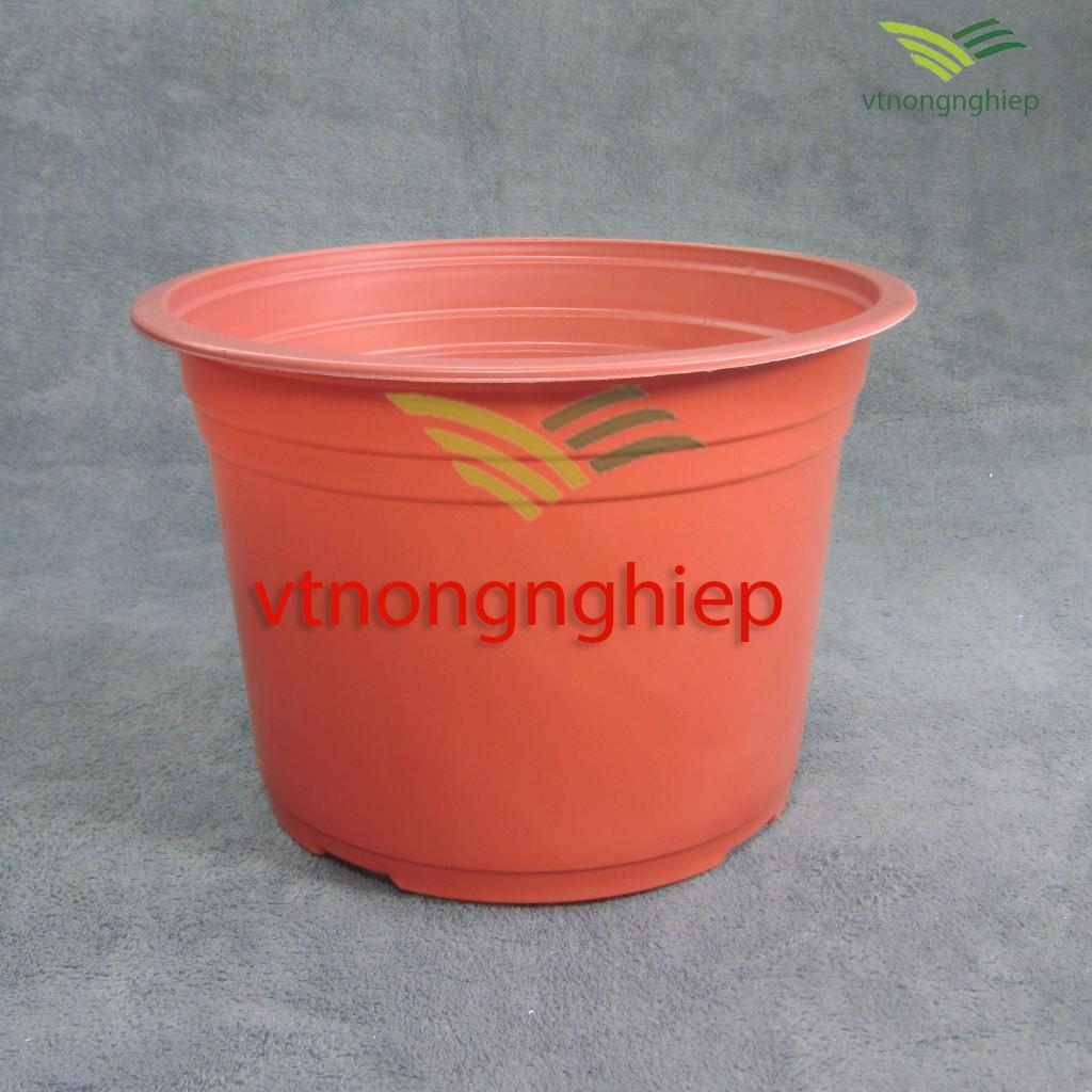 Chậu nhựa trồng Hoa CH-23x16 màu xám nâu, màu đỏ đất, màu trắng