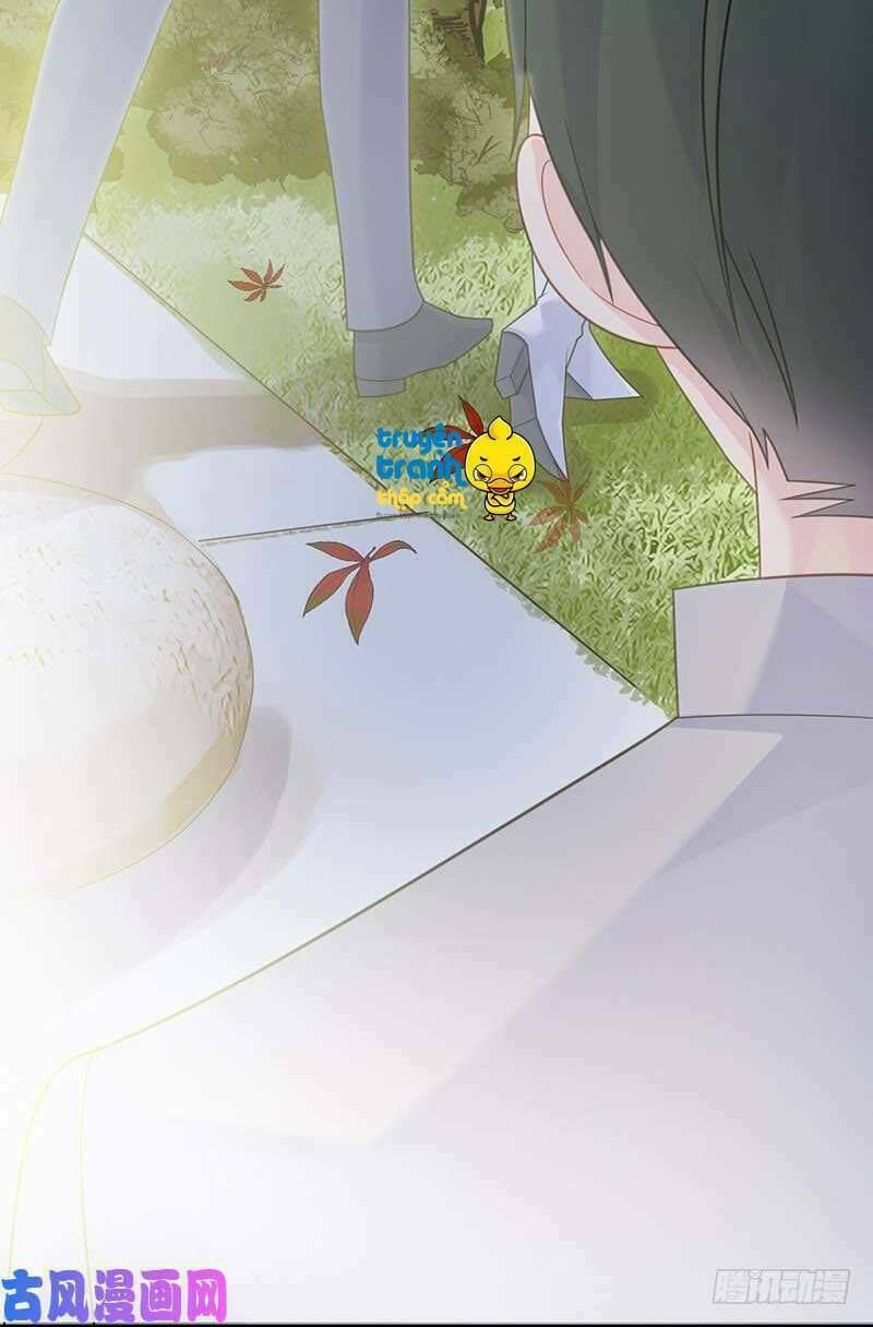 chọc tới chủ tịch tổng tài 2 chapter 60 24