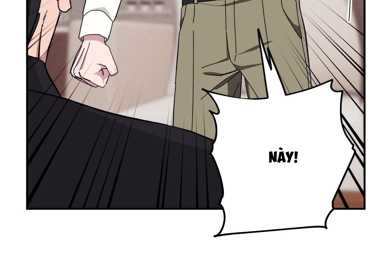 chàng dâu nhà họ kang chapter 33 118
