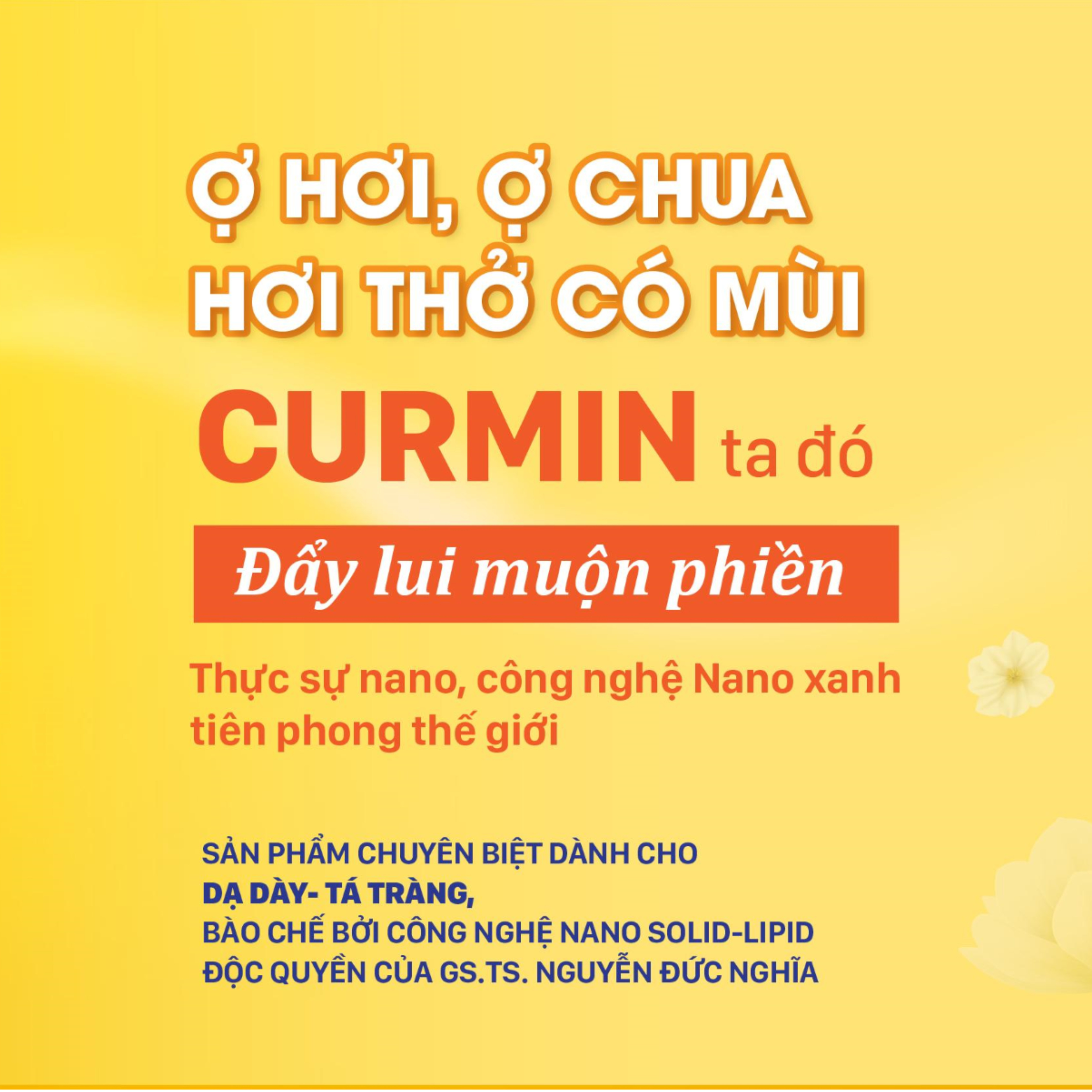 Vietlife Curmin 22+ - Nano nghệ - Sản phẩm chuyên biệt dành cho Loét dạ dày, trào ngược dạ dày thực quản, đau dạ dày - Bào chế công nghệ Nano Xanh thế hệ 3 - Vietlife Nano