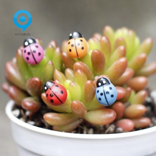 Combo 20 Con Bọ Rùa Mini Nhiều Màu Sắc Dùng Trang Trí Cây Cảnh