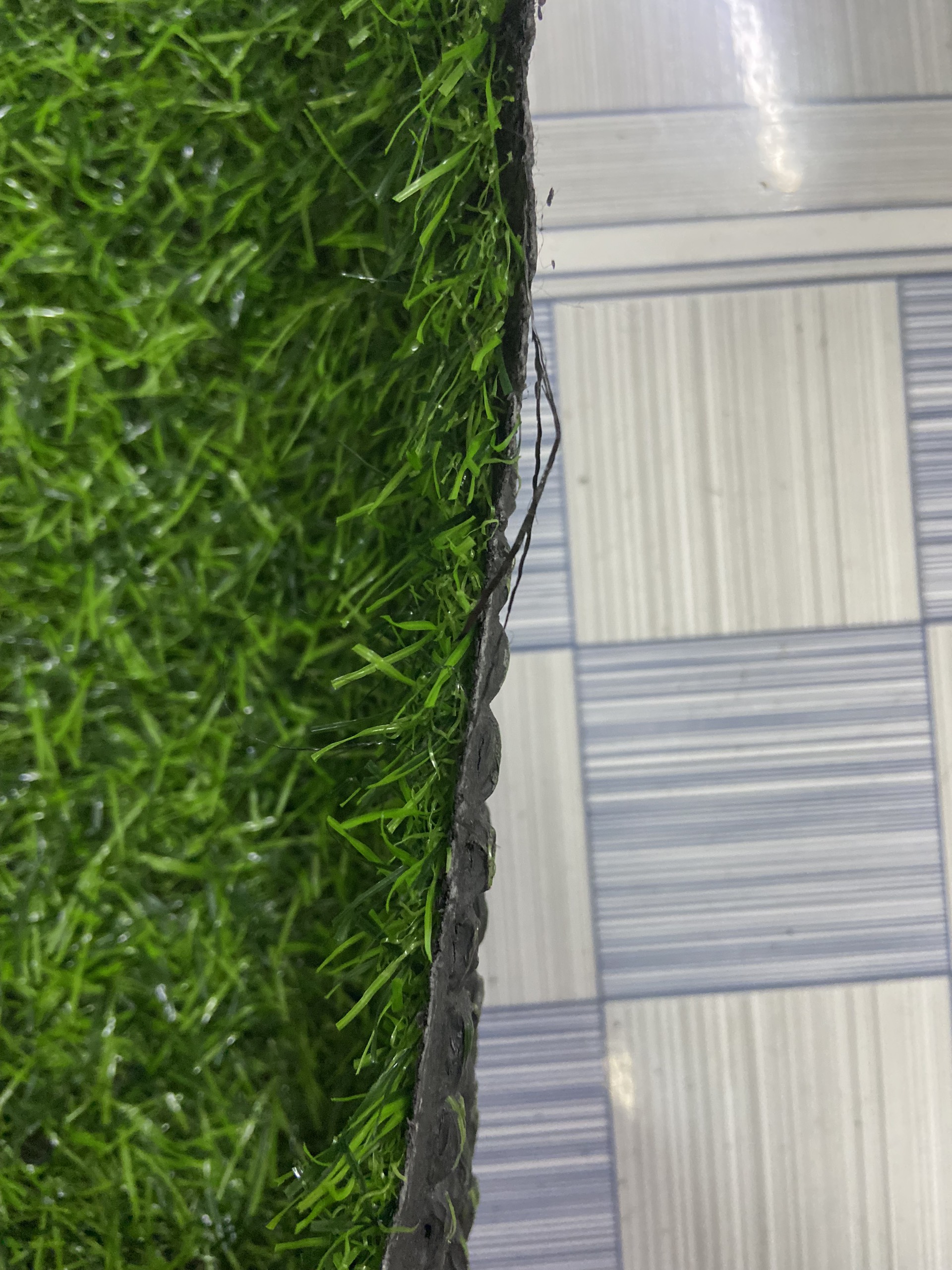 Cỏ nhân tạo 2cm giá rẻ, cỏ lót sàn, trang trí sự kiện ngắn ngày - VNG-20C3