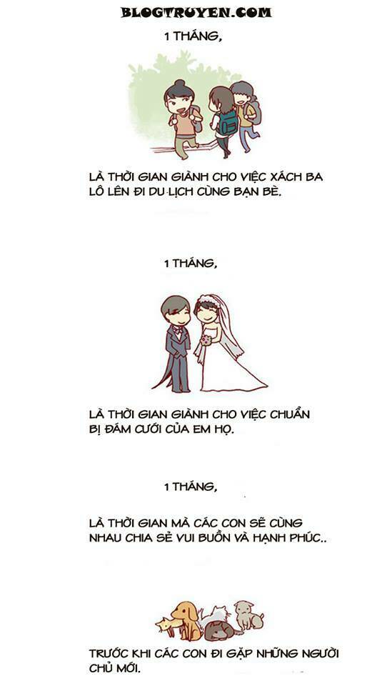 my kitty and old dog chapter 10 3