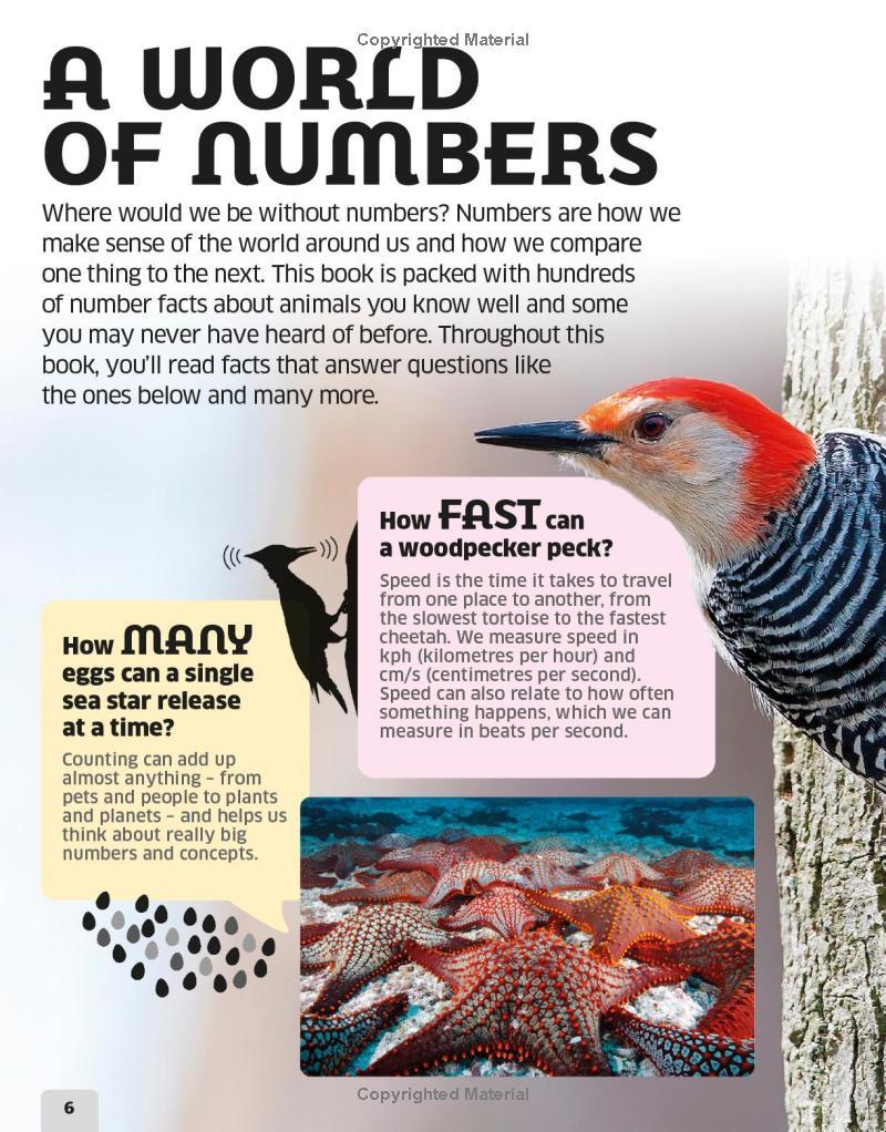 Sách ngoại văn: Our World In Numbers Animals