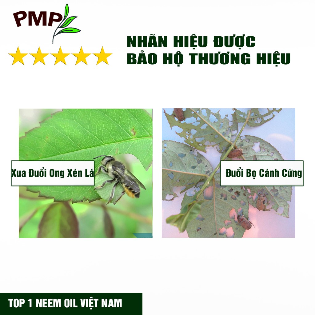 Dầu Neem Oil Hữu Cơ PMP Nguyên Chất Loại Bỏ Trĩ, Rệp, Nhện Đỏ, Nấm, Sâu Bệnh Cho Hoa Hồng, Rau Củ Green Neem 50ml-100ml