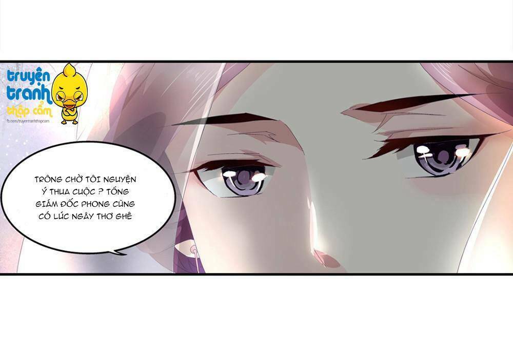 cường sủng hào môn tiểu manh thê chapter 2 8