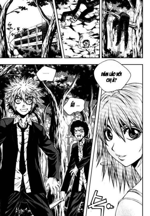 zippy ziggy chapter 2 2