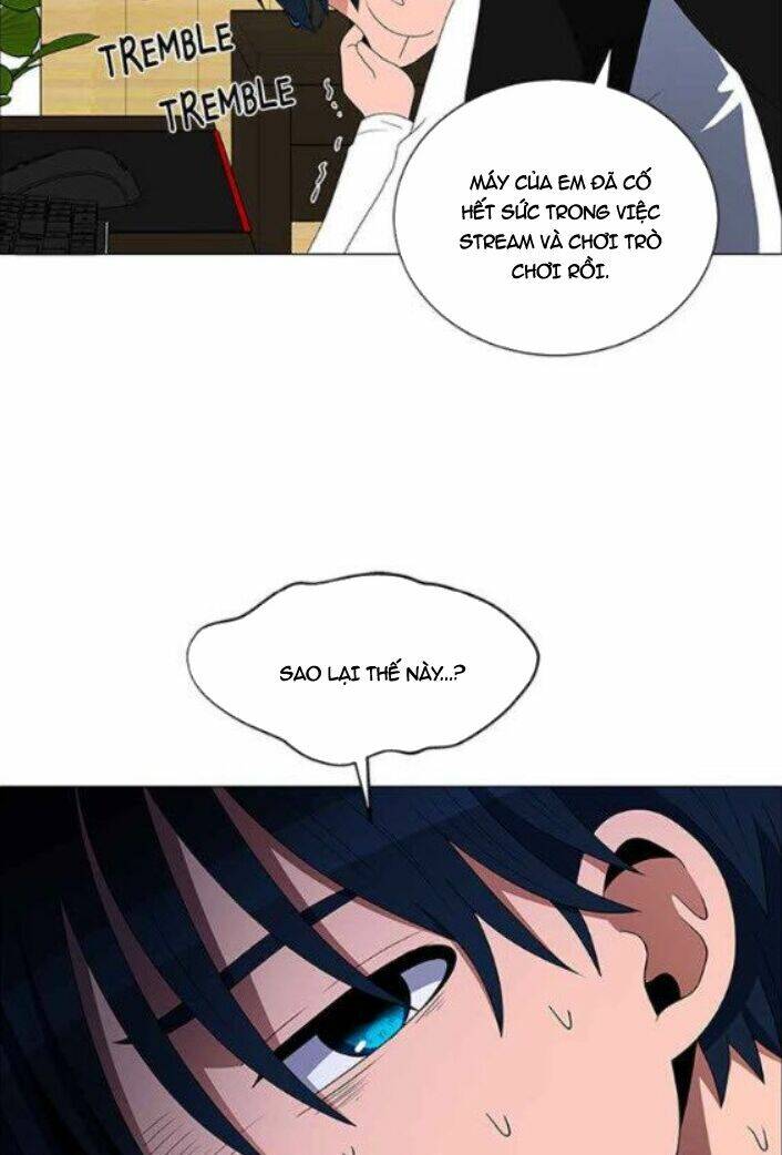 no scope chapter 115 43