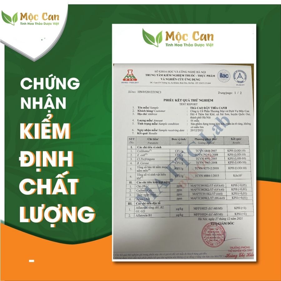 Trà cao dây thìa canh túi lọc Mộc Can hạ đường huyết ngăn ngừa biến chứng tiểu đường gói 25 túi