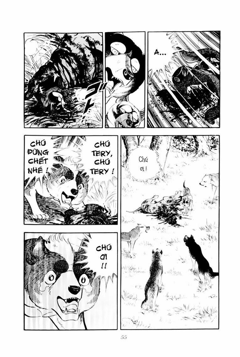 chú chó có nghĩa - ginga nagareboshi gin chapter 32.1 9