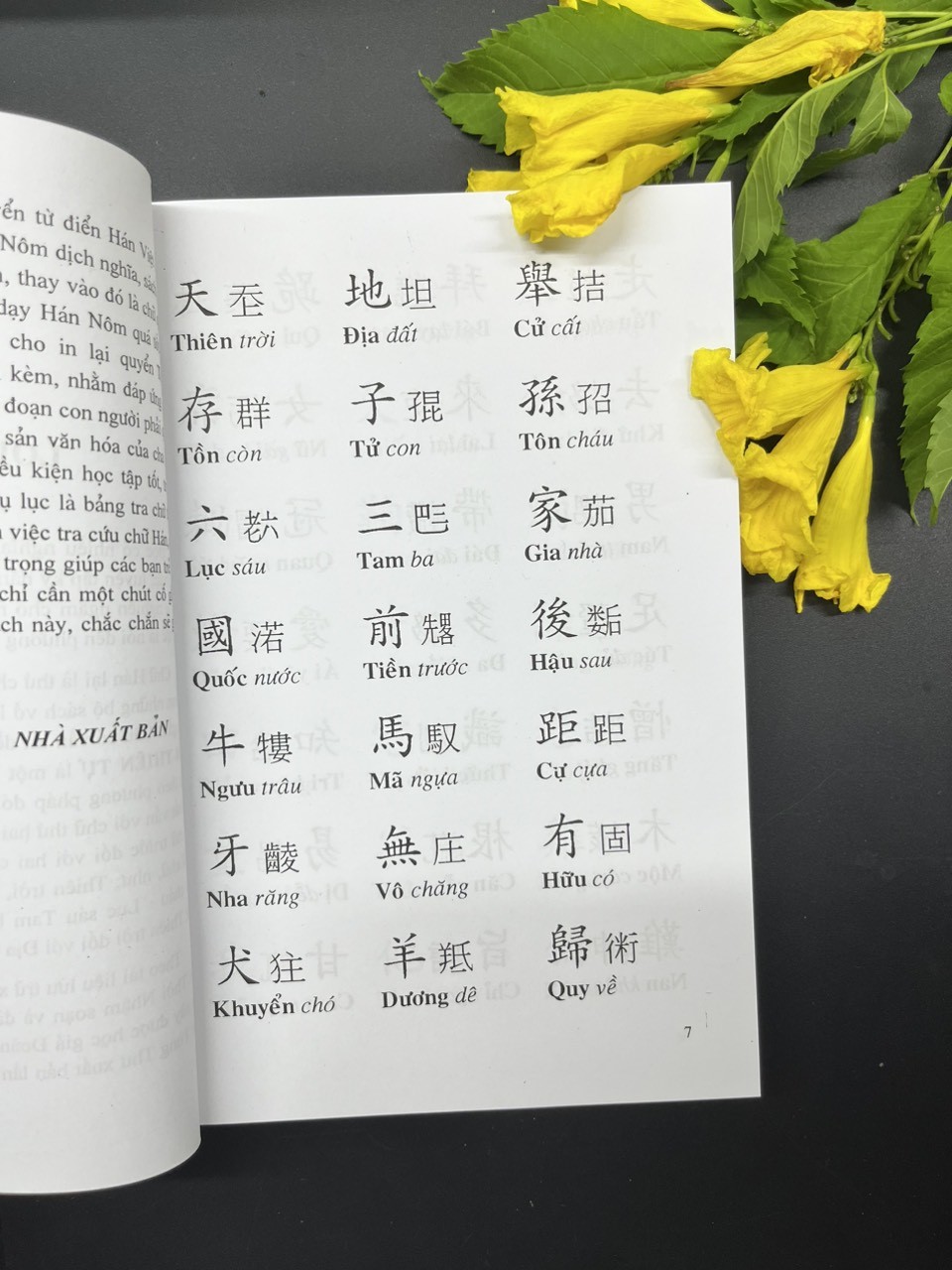 Tam thiên tự - Đoàn Trung Còn