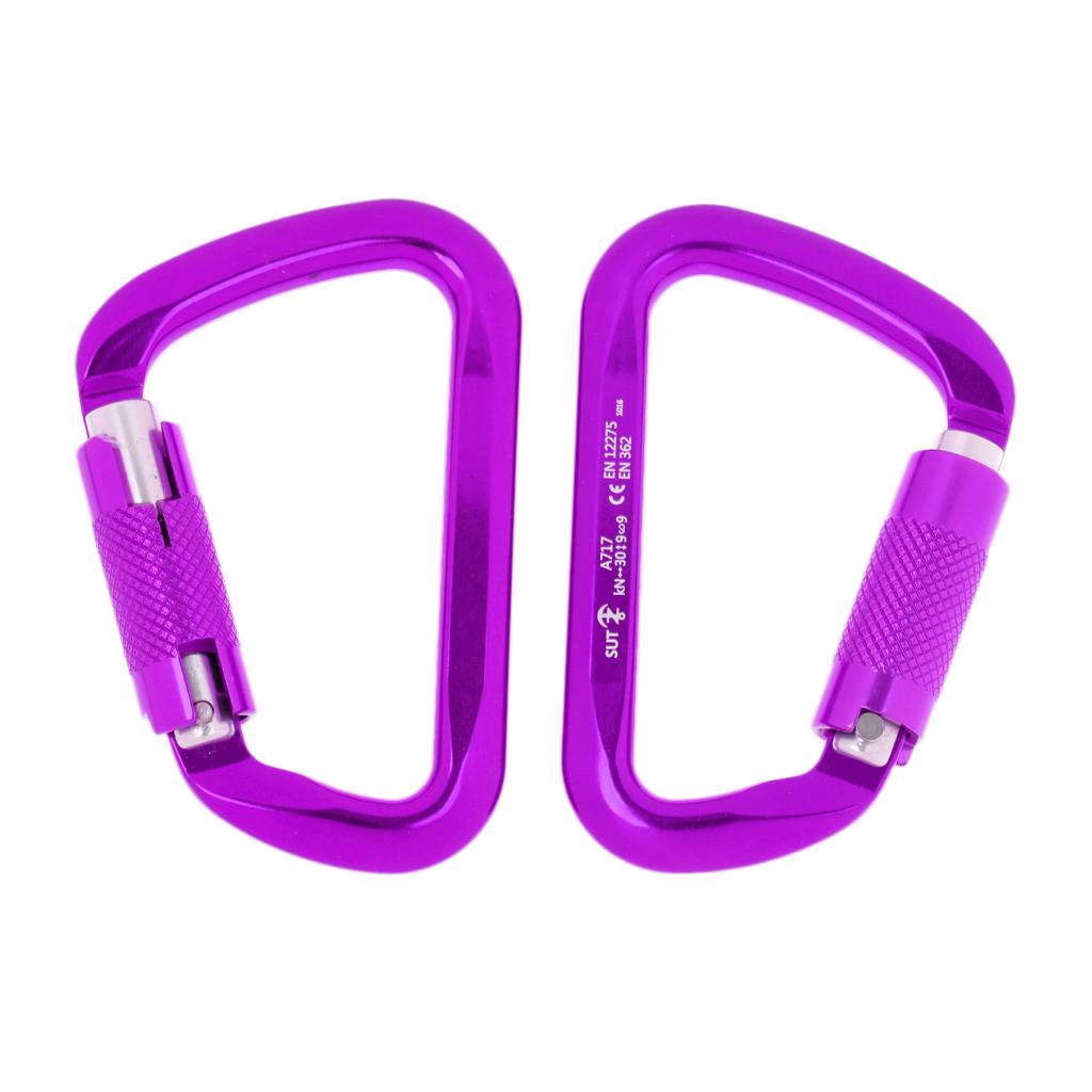 1 Pair 30KN D-Ring Twist Auto Locking Rock Climbing Carabiner Rescue