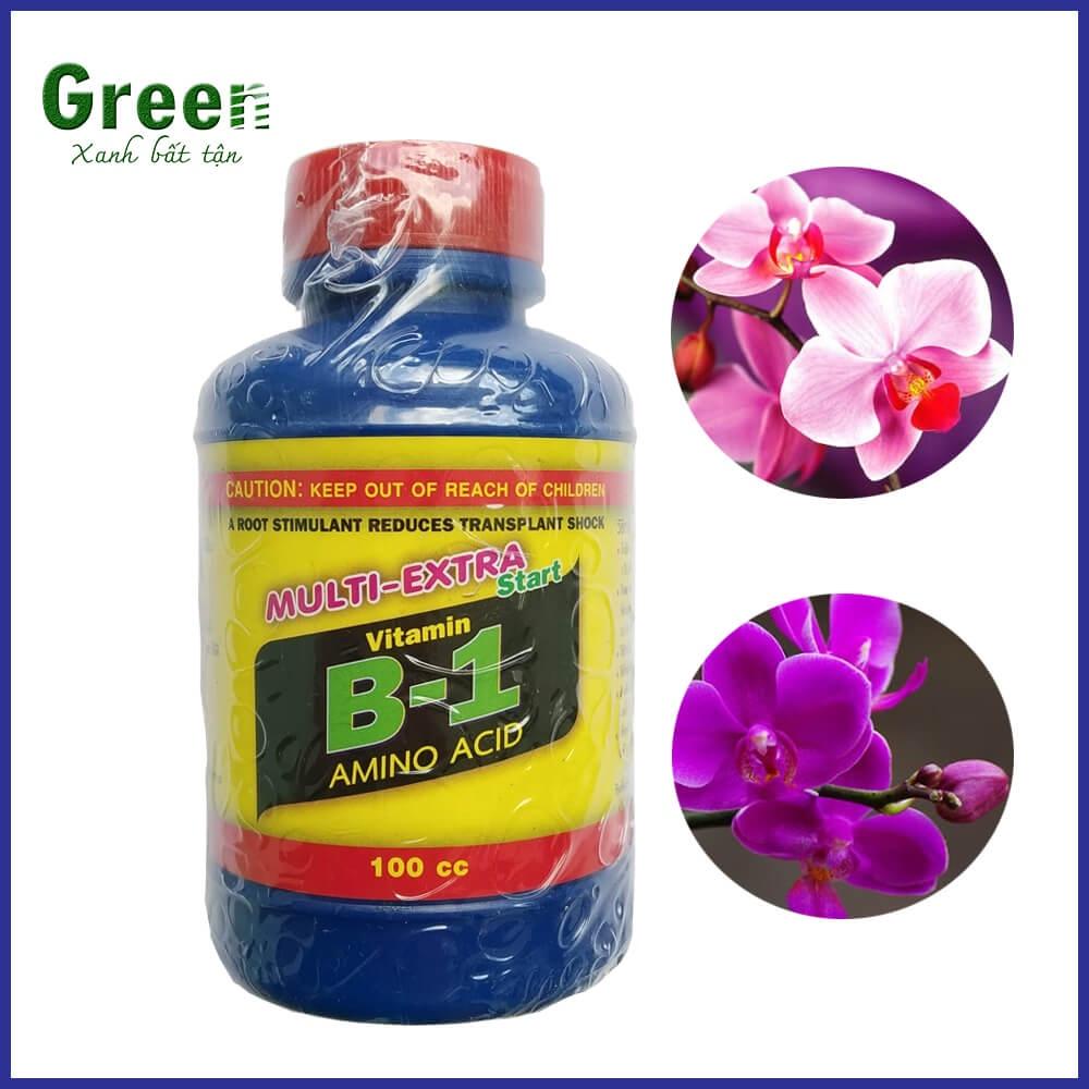 B1 thái dưỡng cây , giúp cây hấp thụ dinh dưỡng, dưỡng cho lan khoẻ, tăng sức đề kháng, chống sốc cho hoa