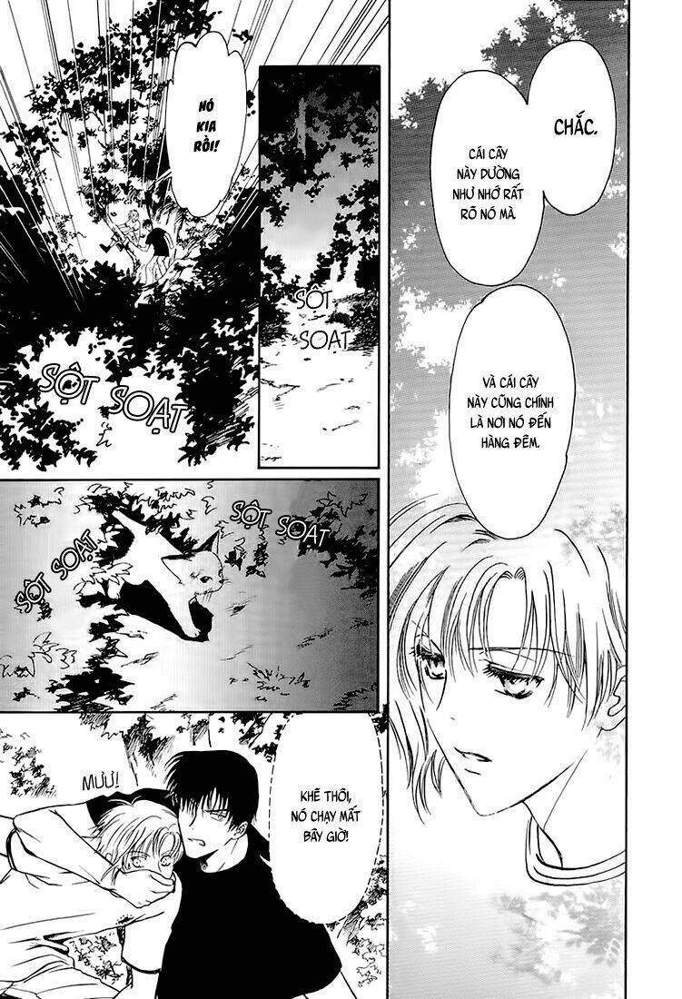 gohou drug chapter 6 22