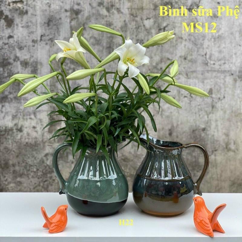Lọ hoa bình sữa cắm hoa có thể đựng nước