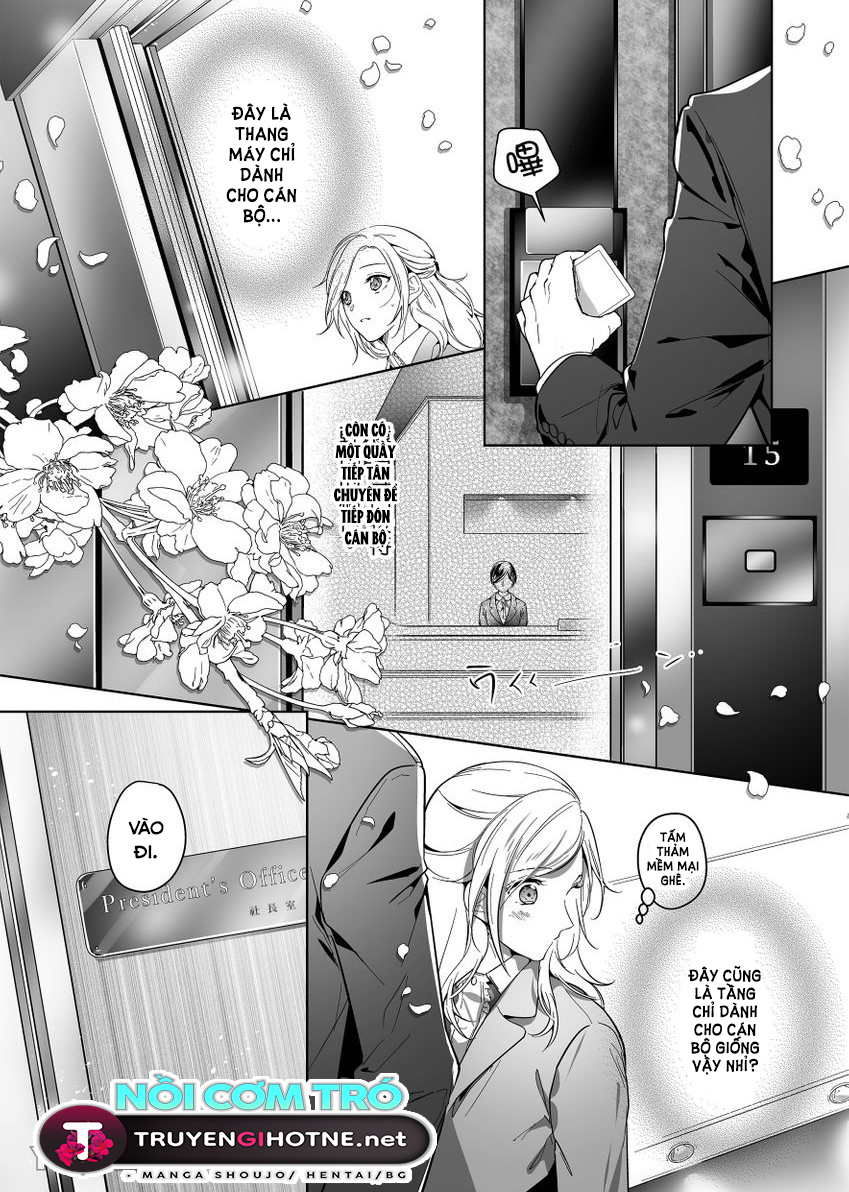 chủ tịch cũng có thể cưng chiều chapter 2.1 11