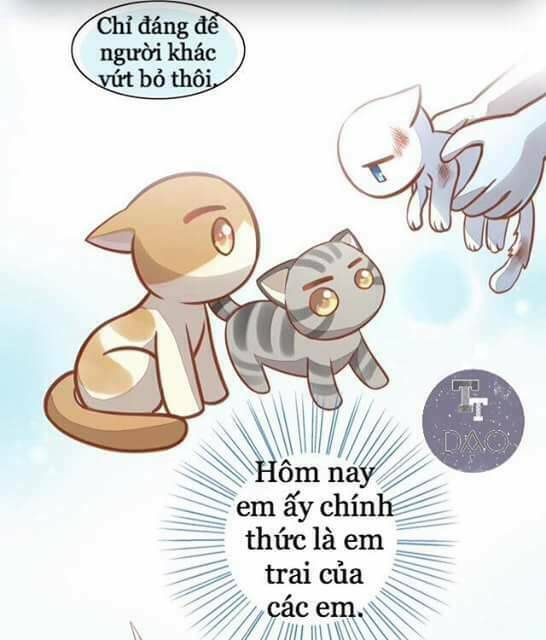 thị hoang chi thần chapter 8 43