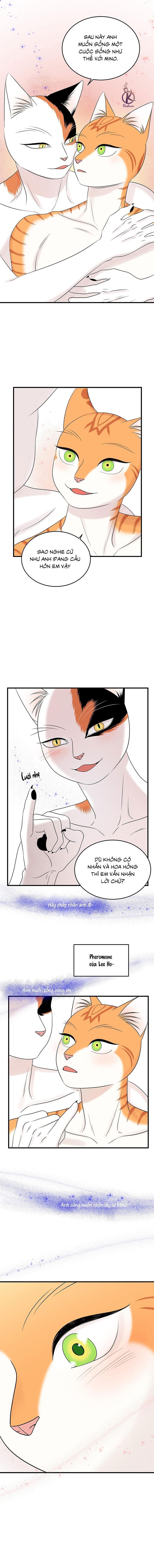 dự án xanh chapter 56 7