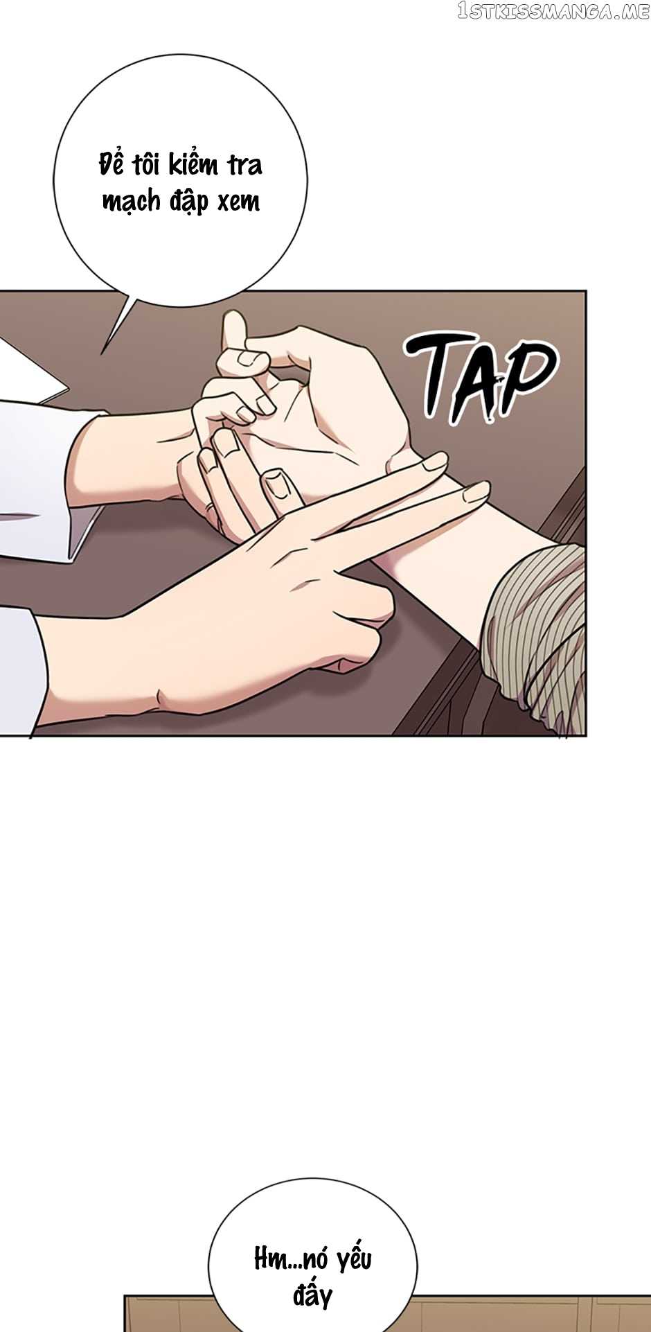 kết hôn ư? không, cảm ơn! chapter 20.2 16