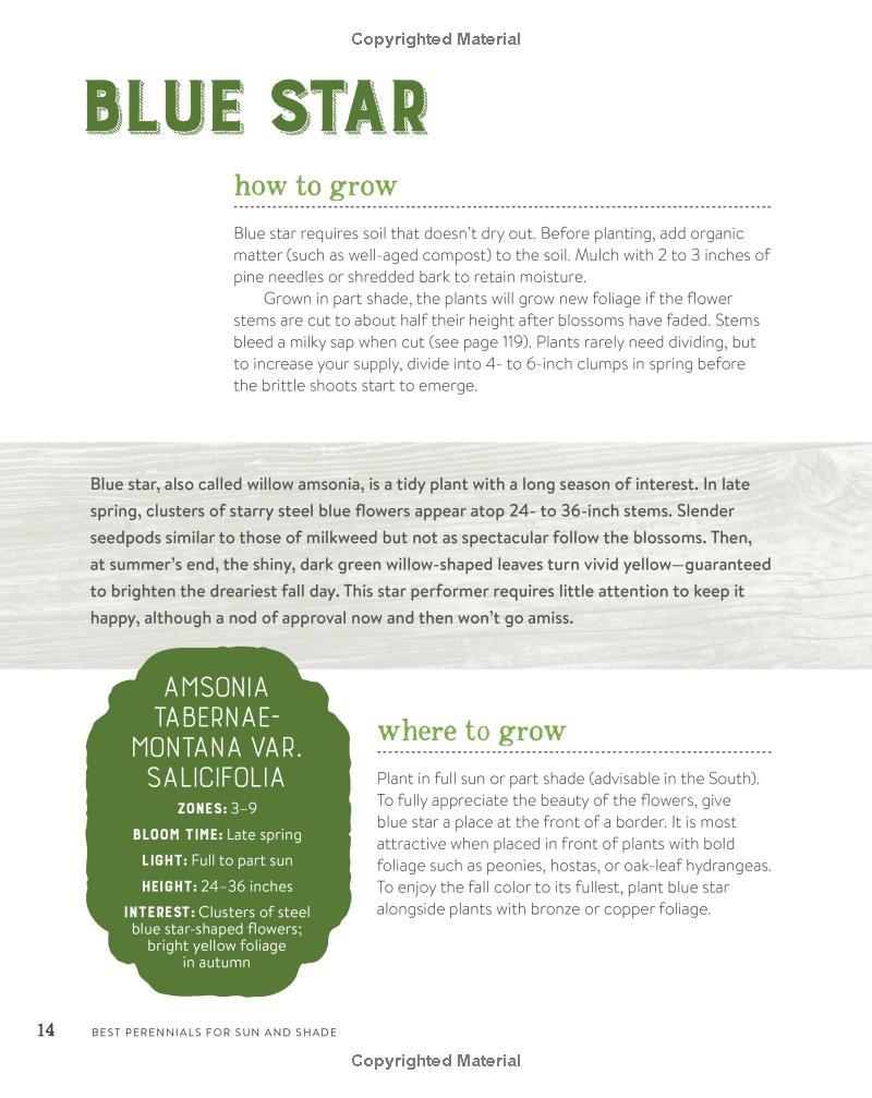 Best Perennials for Sun and Shade (Home Grown Gardening)