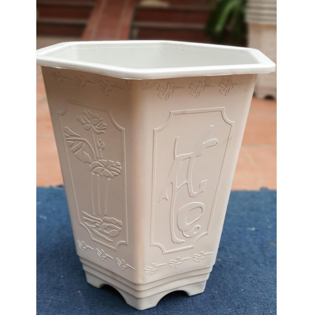 Chậu nhựa Lục giác cao LA 280 đa sắc màu