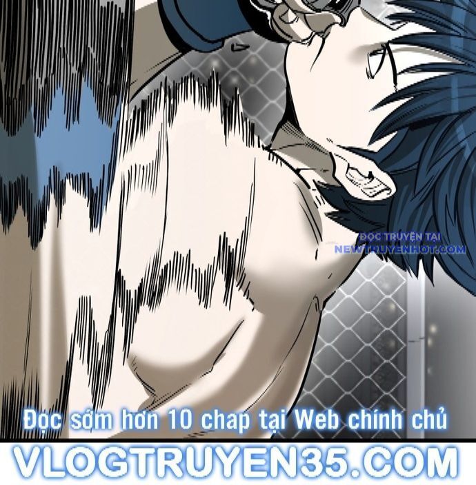 shark - cá mập chapter 334 43