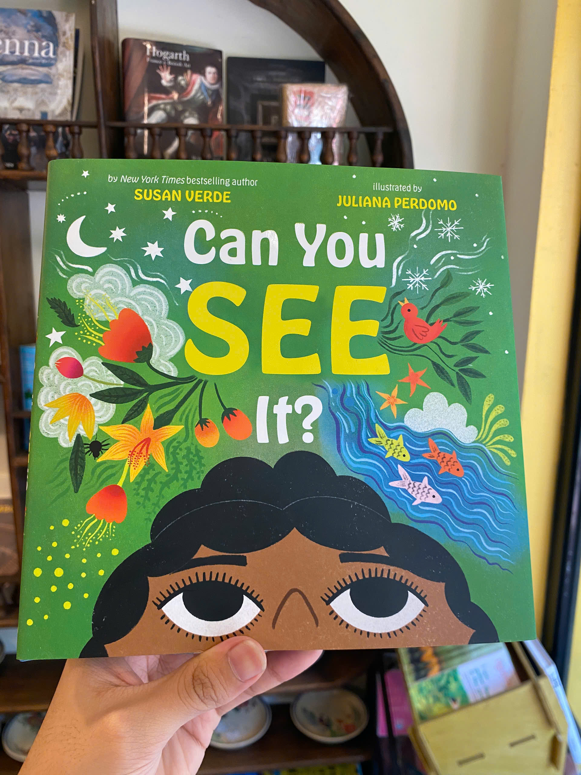 Sách - Can You See It? A Picture Book by Susan Verde | Children's Graphic Novel About Mental Health
