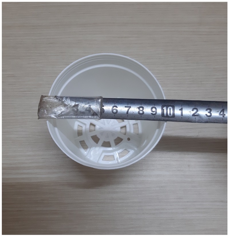 50 Chậu Nhựa Trồng Lan, Cây Cảnh Mini Fi 10cm - Màu Trắng - Cốc ươm fi 10 màu Trắng