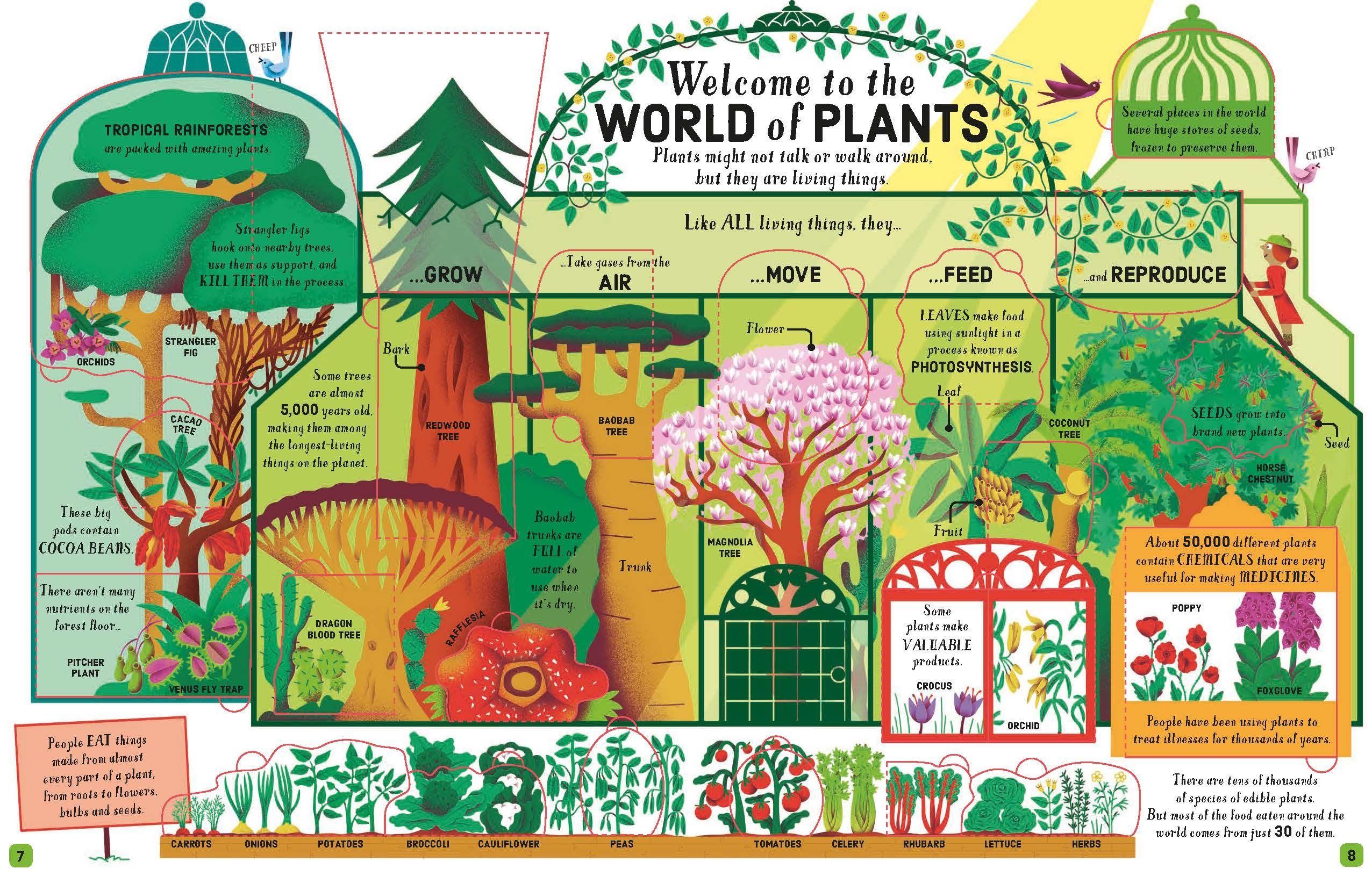 Sách ngoại văn: Lift-the-flap Biology