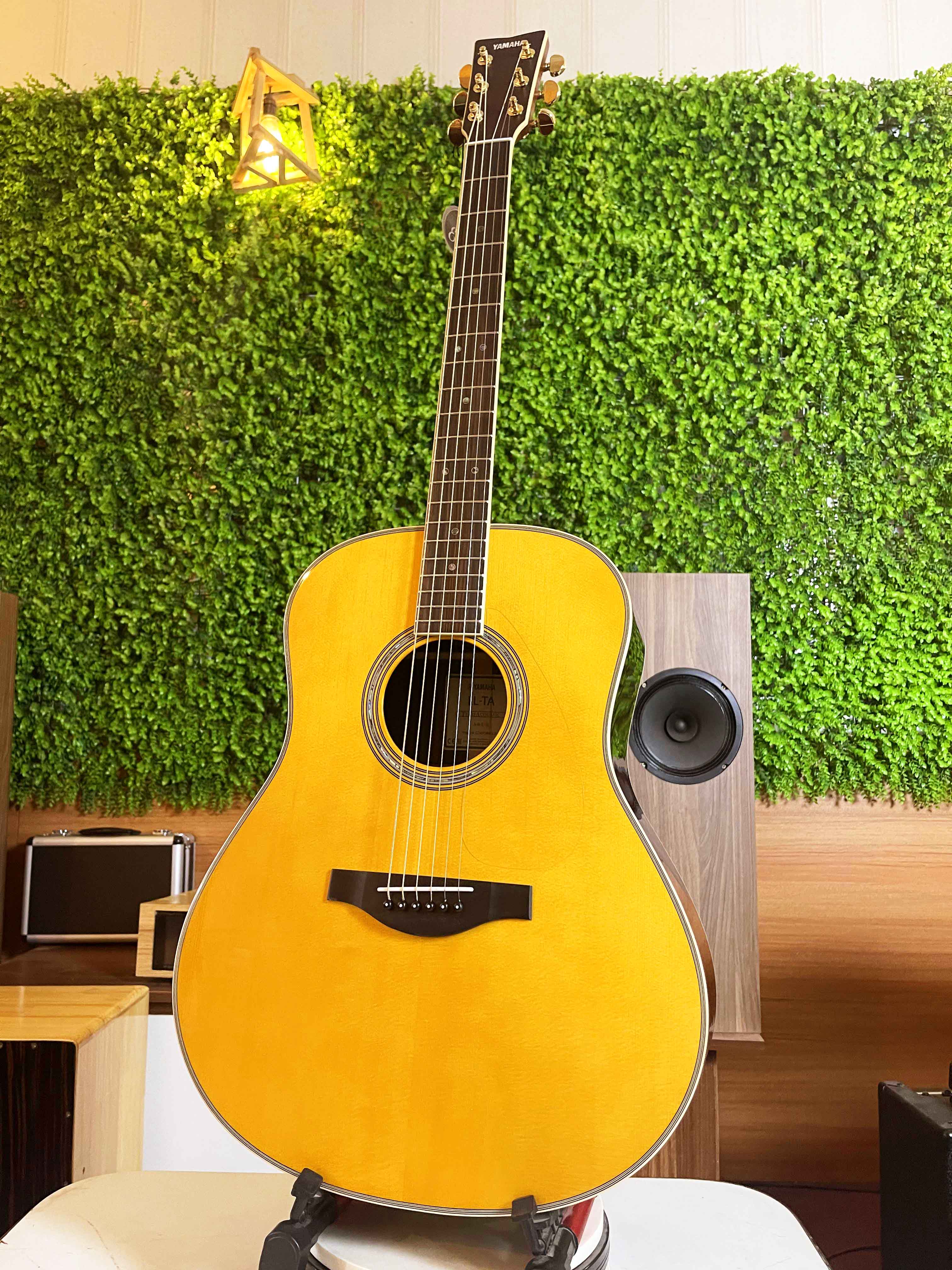Đàn Guitar Acoustic Yamaha LL-TA