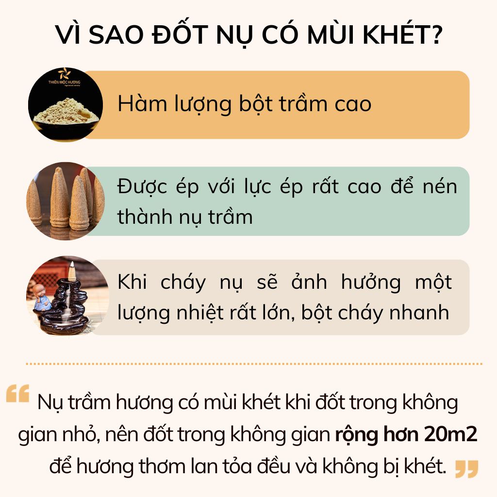 Nhang Nụ Trầm Hương Loại 12 Năm tích trầm - Tặng kèm thác khói xông nhà - Thơm lâu, mùi dễ chịu, an toàn sức khỏe - Thiên Mộc Hương