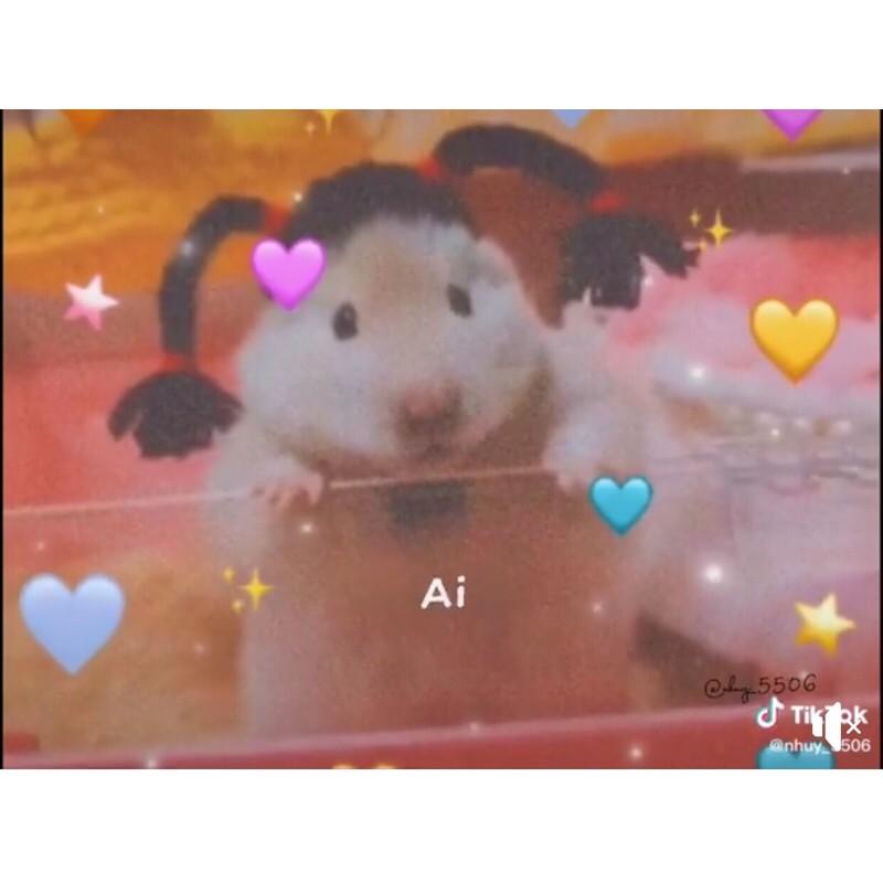 Nón mũ hamster tóc giả 2