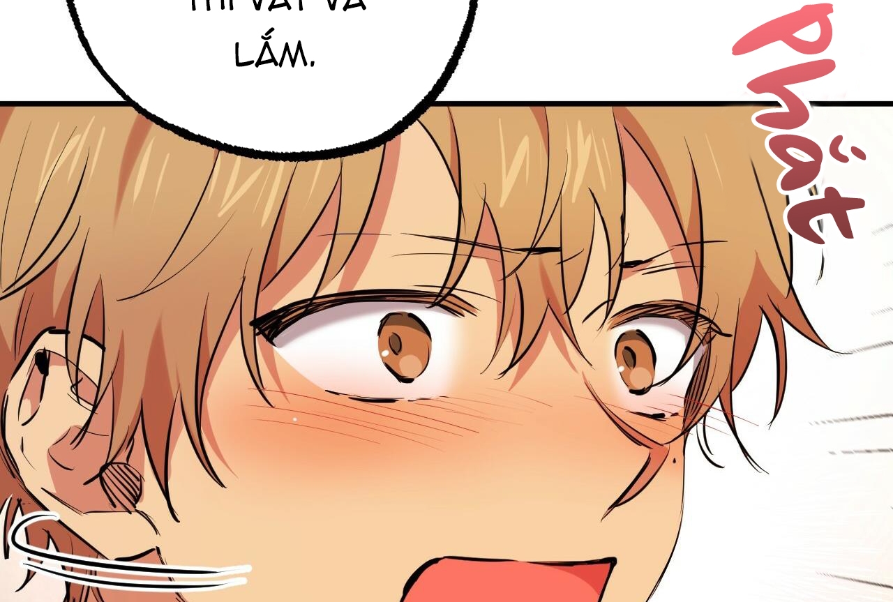 đàn thỏ của habibi chapter 35 172