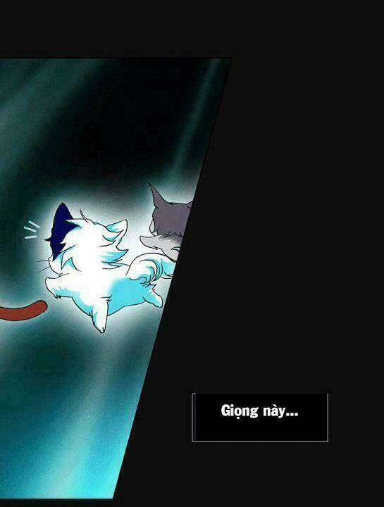 hoàng tử mèo đáng ghét chapter 1 13