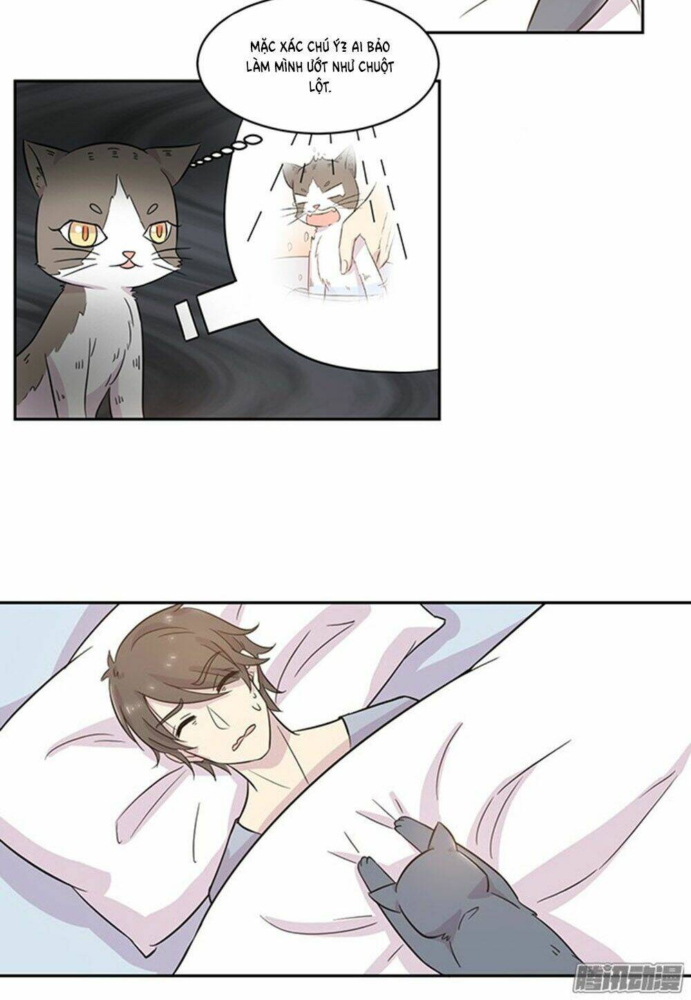 hai chú mèo totem chapter 19 6