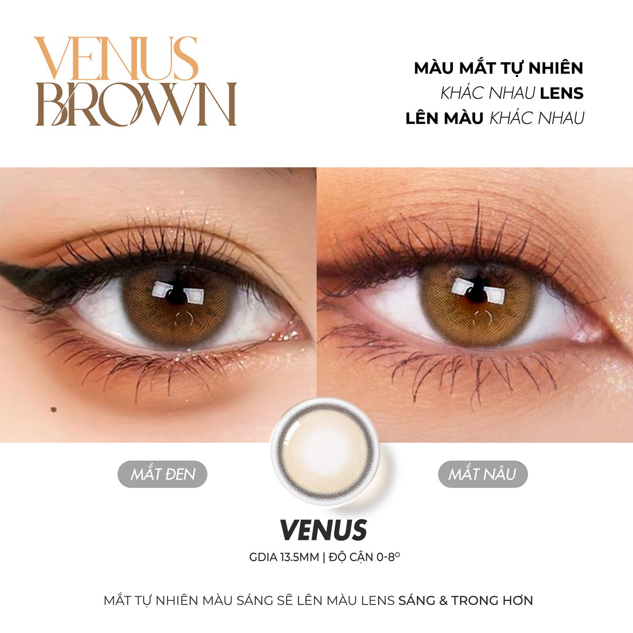 Lens nâu tây có cận 0-8 Venus hiệu Angel Eyes - Dòng kính áp tròng nâu Silicone Hydrogel cao cấp Hàn Quốc Dia 14.0