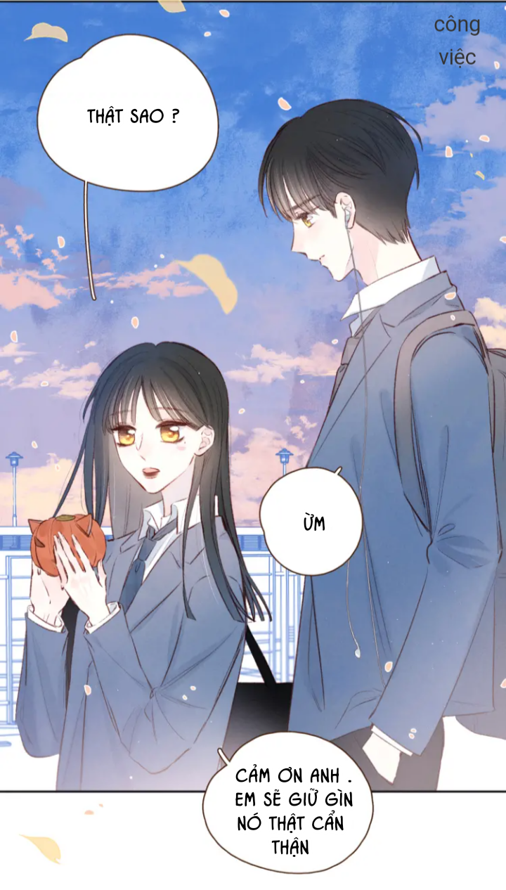 nỗi buồn của hoa cẩm tú cầu chapter 42 24