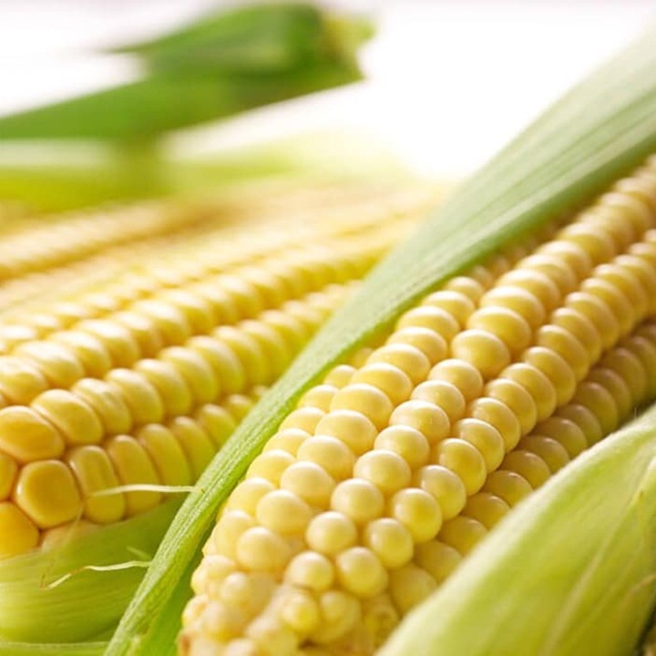 Hạt giống Bắp ngọt gói 100gram